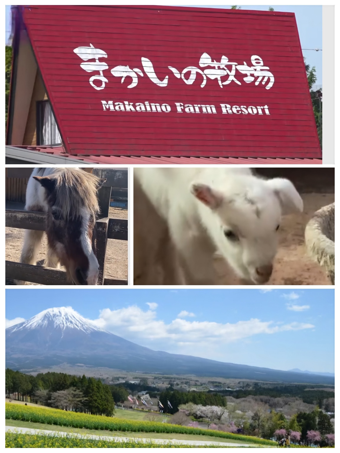 まかいの牧場