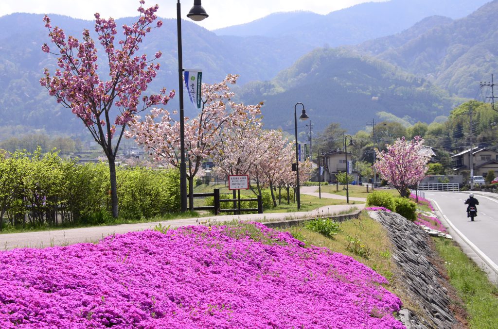 甘利沢川さくら公園（幸福の小径）