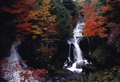 竜頭の滝