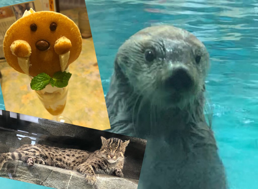 鳥羽水族館